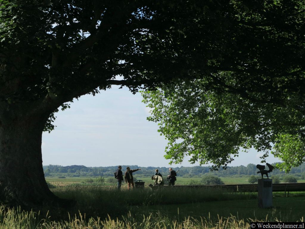 Bastion Oranje werd in 1634 als onderdeel van de Bossche vestingwerken gebouwd. Vanaf de stadsmuren heb je een mooi uitzicht op de Bossche Broek. Tip: Ga eens in de buurt picknicken.